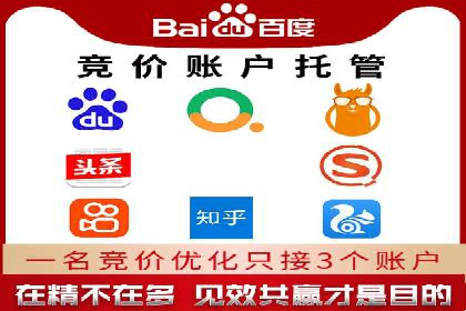 SEM代理案例：揭秘成功背后的秘密